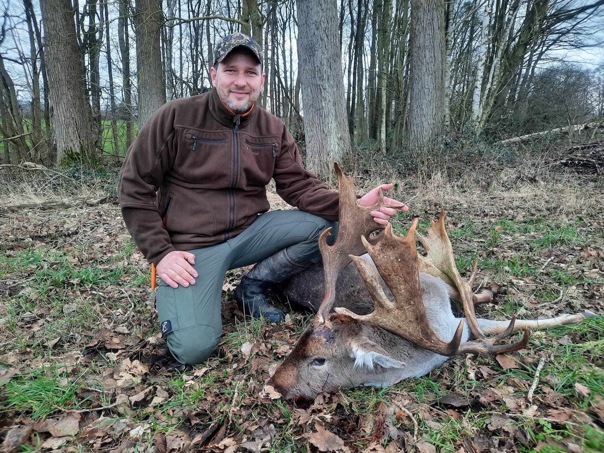 Rätselhafter Damhirsch im Revier Hüttblek