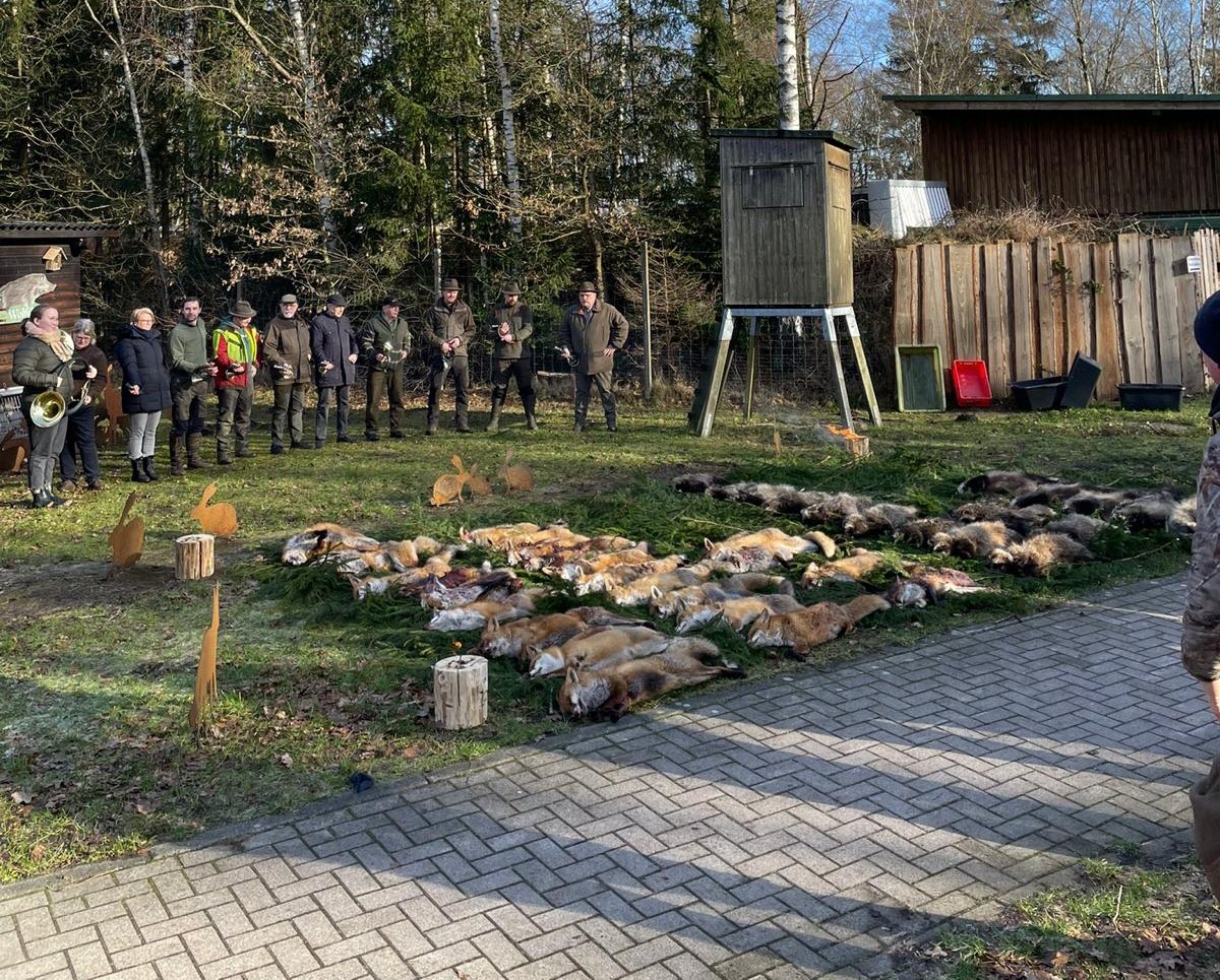 Erfolgreiche Raubwildbejagung im Hegering IX Kaltenkirchen