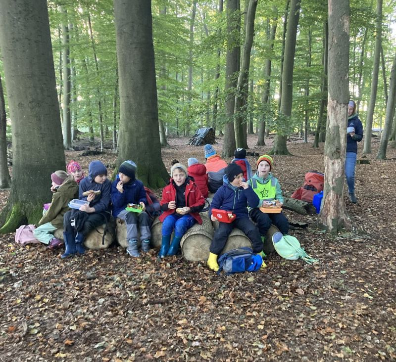 Waldwoche in der Dörfergemeinschaftsschule Neuengörs